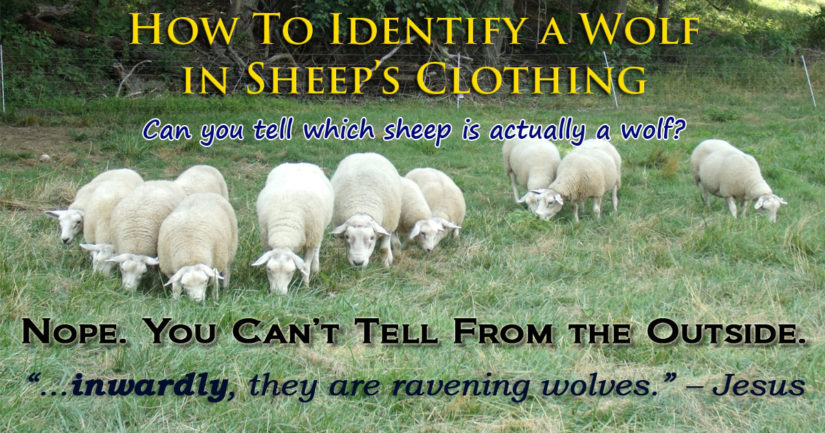 Printable Kids Activities Wolf In Sheeps Clothing